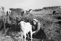 Φωτογραφία του περιγραφόμενου στοιχείου