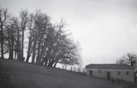 Φωτογραφία του περιγραφόμενου στοιχείου