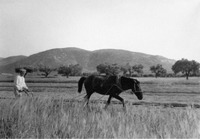 Φωτογραφία του περιγραφόμενου στοιχείου