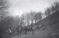 Φωτογραφία του περιγραφόμενου στοιχείου