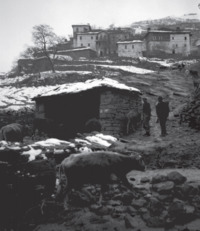 Φωτογραφία του περιγραφόμενου στοιχείου