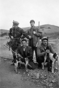 Φωτογραφία του περιγραφόμενου στοιχείου