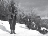 Φωτογραφία του περιγραφόμενου στοιχείου