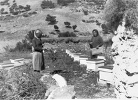 Φωτογραφία του περιγραφόμενου στοιχείου