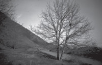 Φωτογραφία του περιγραφόμενου στοιχείου