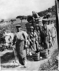 Φωτογραφία του περιγραφόμενου στοιχείου