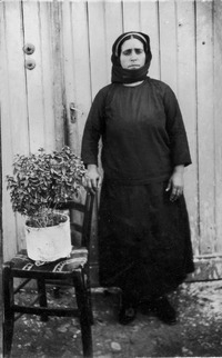 Φωτογραφία του περιγραφόμενου στοιχείου