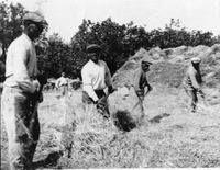 Φωτογραφία του περιγραφόμενου στοιχείου