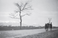 Φωτογραφία του περιγραφόμενου στοιχείου