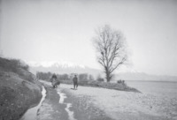 Φωτογραφία του περιγραφόμενου στοιχείου