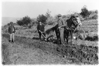 Φωτογραφία του περιγραφόμενου στοιχείου