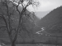 Φωτογραφία του περιγραφόμενου στοιχείου