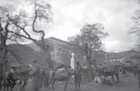 Φωτογραφία του περιγραφόμενου στοιχείου