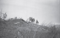 Φωτογραφία του περιγραφόμενου στοιχείου