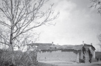 Φωτογραφία του περιγραφόμενου στοιχείου