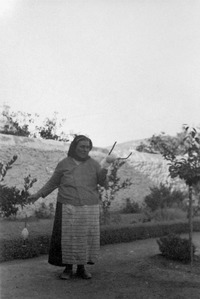 Φωτογραφία του περιγραφόμενου στοιχείου