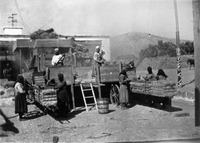 Φωτογραφία του περιγραφόμενου στοιχείου