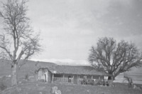 Φωτογραφία του περιγραφόμενου στοιχείου