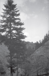 Φωτογραφία του περιγραφόμενου στοιχείου