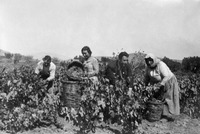 Φωτογραφία του περιγραφόμενου στοιχείου