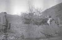 Φωτογραφία του περιγραφόμενου στοιχείου