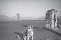 Φωτογραφία του περιγραφόμενου στοιχείου