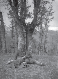 Φωτογραφία του περιγραφόμενου στοιχείου