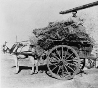 Φωτογραφία του περιγραφόμενου στοιχείου