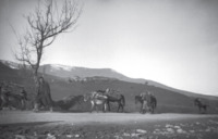 Φωτογραφία του περιγραφόμενου στοιχείου