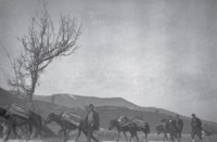 Φωτογραφία του περιγραφόμενου στοιχείου