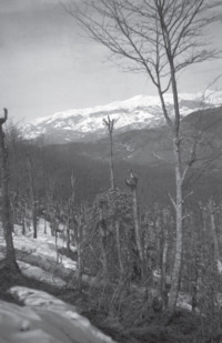 Φωτογραφία του περιγραφόμενου στοιχείου